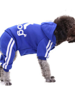 Alternative view of Sportsman / Activewear