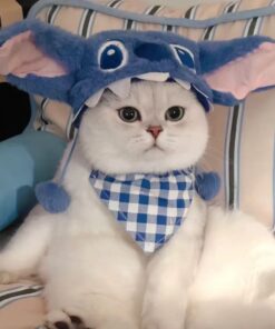 Alternative view of Hats & Decorations