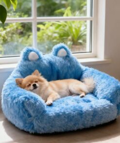 Couch and Sofa (Pet Beds)