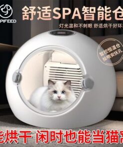 Alternative view of Intelligent Aviation Cabin