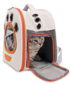 Pet Accessories and outing