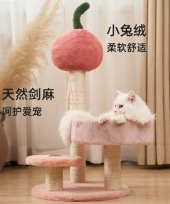 Alternative view of Cat Climber