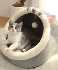 Alternative view of Pet House